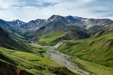 Fototapeta na wymiar Untamed Landscape in Denali National Park, Alaska
