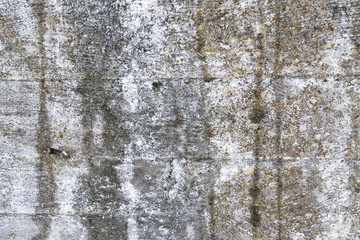 Obraz premium Bricks wall texture