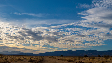 Mojave Desert