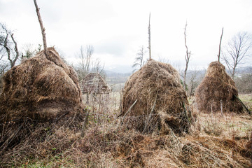 haystack rural landscape