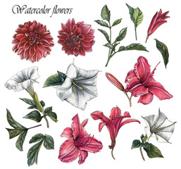 Flowers set of watercolor dahlias, lilies, datura flowers and leaves - 190378886