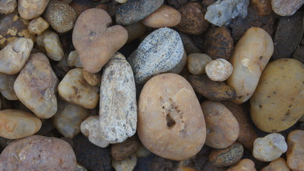 Nature Pebbles 