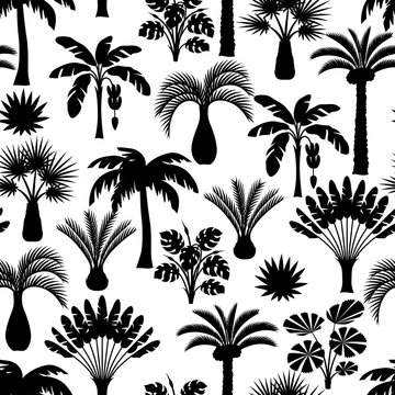 Seamless pattern with tropical palm trees. Exotic tropical plants Illustration of jungle nature