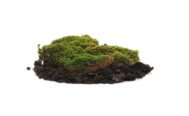 Green moss and dirt pile isolated on white background, with clipping path