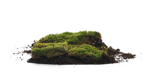 Green moss and dirt pile isolated on white background, with clipping path