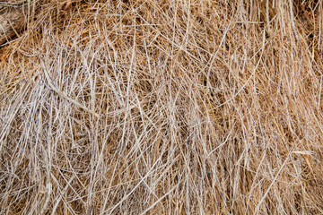 haystack texture