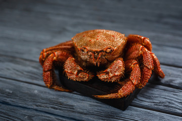 Seafood, crab hairy on a wooden gray background. The concept is expensive and tasty food