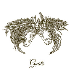 Farm animal goat. Two goats butt. Engraving style. Vector illustration.