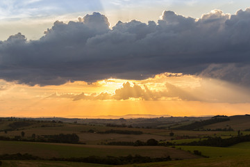 Beautiful afternoon at the field