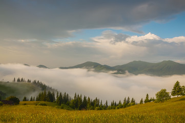 Early morning in the mountains. green slope overgrown with grass and flowers, fog between the mountains in the valley. beautiful morning summer view.
