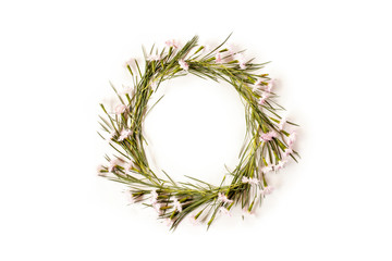 Flat lay flowers composition. Wreath made of carnation flowers and needle-shaped leaves on white background. Top view.