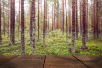 Nature blurred background