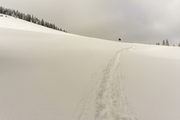 Rusinowa Glade in the winter. Tatra Mountains. Poland.