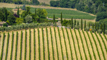 Country landscape from Orvieto, Umbria, Italy
