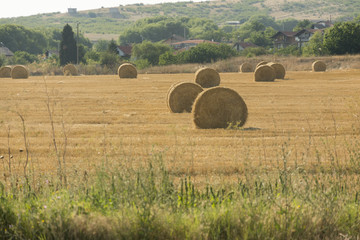 Field with hay bales in a village in autumn