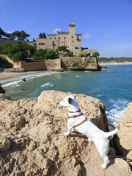 Castillo de Tamarit, peque&ntilde;a aldea en zona costera junto al mar Mediterr&aacute;neo en el t&eacute;rmino municipal de Tarragona (Espa&ntilde;a)