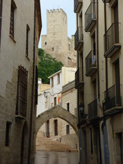 Tortosa es la capital de la comarca del Bajo Ebro, situada en la provincia de Tarragona, Cataluña. Es sede episcopal y constituye un importante centro agrícola, comercial e industrial