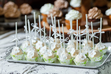 Candy bar on wooden wedding party with a lot of different candies, cupcakes, souffle and cakes. Decorated in brown and green colors, nature and eco theme, indoor