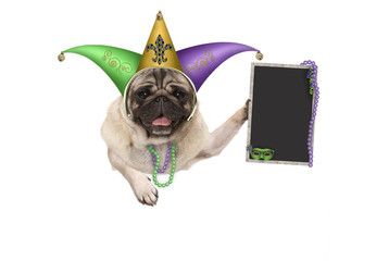 Mardi gras pug puppy dog with carnival jester hat, venetian mask and blank blackboard sign, hanging...