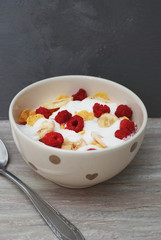 Cereals with Milk or Yogurt and Dried Fruits. Healthy food Concept. Gray Background. Vertical Image.