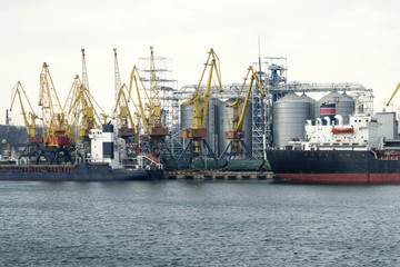 Fototapeta premium Cranes in seaport.