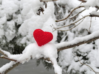 Fototapeta premium Red frozen knitted heart on white snow, snowy background 