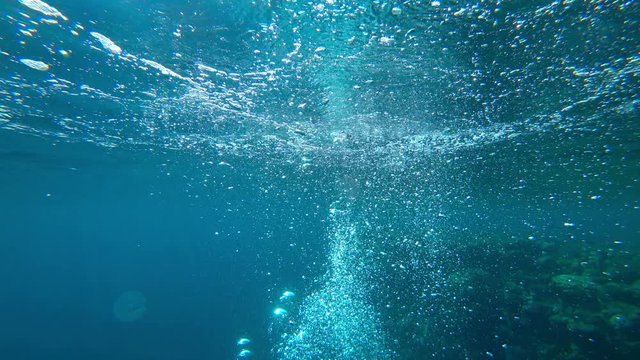 air bubbles rise from the depths of the water