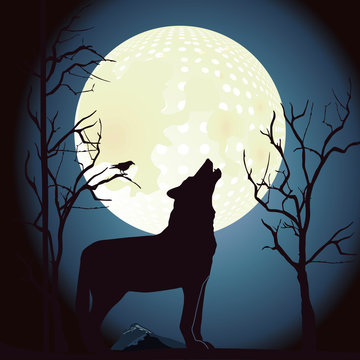 Wolf heult den Mond an