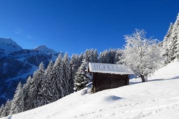 Refuge sous la neige des alpes