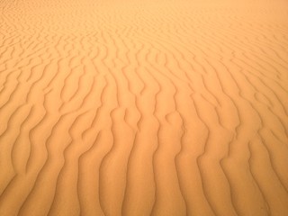 desert sand