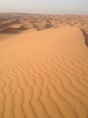 desert sand