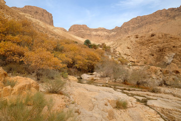 Scenic winter landscape in Judea desert mountains/