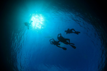 Scuba divers swim over coral reef