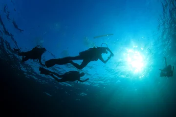 Zelfklevend Fotobehang Scuba divers swim over coral reef © Richard Carey