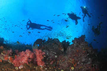 Fotobehang Scuba divers swim over coral reef © Richard Carey