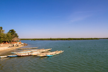 île aux coquillages