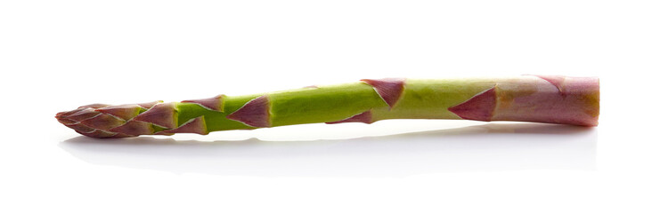 Asparagus isolated on white background