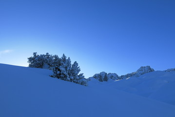 Montagne en hiver sous la neige au lever du soleil