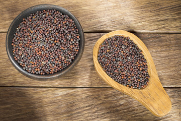 Black Mustard Seeds - Brassica nigra