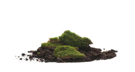 Green moss and dirt pile isolated on white background, with clipping path