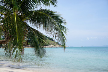 Fototapeta na wymiar Beach side in Koh Samui, Thailand