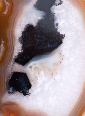 Polished multicolor agate geode slice with crystalline druzy center, as background