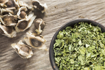 Moringa nutritional plant - Moringa oleifera