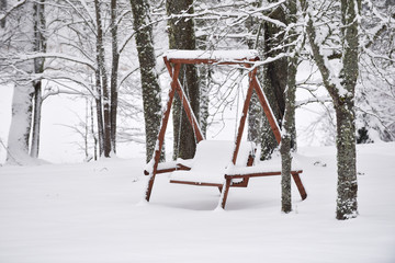 Natural background. Winter landscape. A trees in the snow.