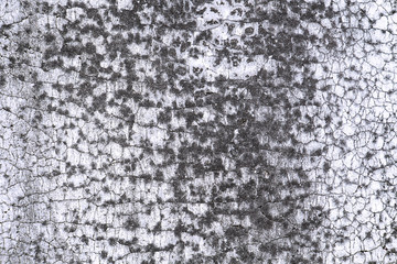 Old gray cement wall with grunge surface cracked. Ancient wall vintage style for texture or background.