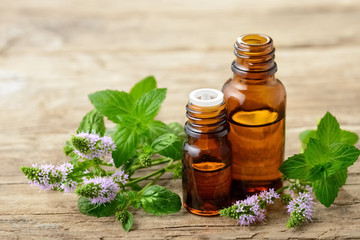 Peppermint essential oil and fresh peppermint flowers on the wooden table