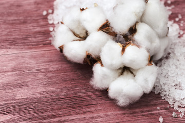 Spa background. Beautiful white flowers of cotton plant and sea salt on old wooden surface. Copy space for text.