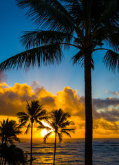 Obraz na płótnie Canvas Gorgeous tropical sunrise on a beach in Kapaa, Kauai in the Hawaiian islands