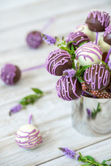 Colorful cake pops on a white wall background