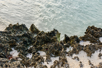 Background with rocks and turquoise water at sunset in Aruba